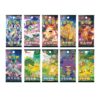 simplified-chinese-pokemon-travel-journey-adventure-gift-box-276 Simplified Chinese Pokemon Travel Journey Adventure Gift Box
